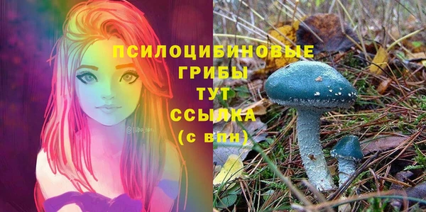 кокаин Алексин
