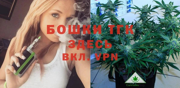 метадон Медногорск