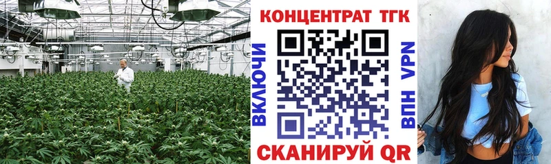ТГК Wax Чаплыгин